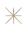 Decorative star